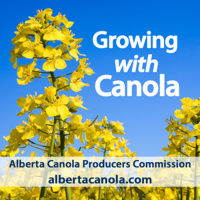 Keep Your Canola Export Ready