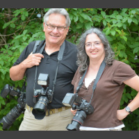 REBROADCAST: The Faces Behind the Dispatch Cameras