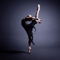 Arts Philanthropy in the North Woods Part I