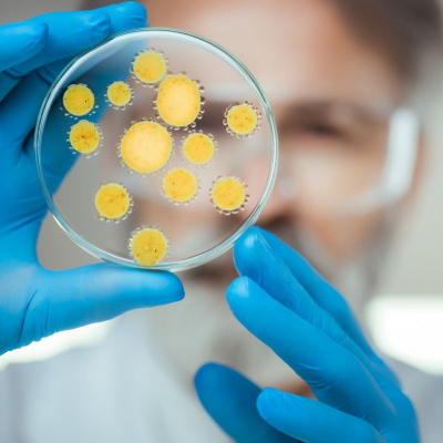 The Philanthropy Roundtable