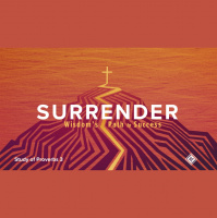 Choose Wisely (Audio)