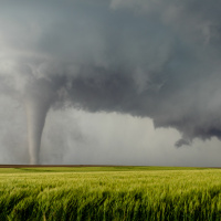 Interior Design (4) - Der Tornado, die Verwüstung  der Hoffnungsträger