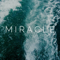 Miracle - 5 Schritte zu deinem persönlichen Wunder