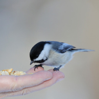Wie finde ich wirkliche Ruhe, wenn mein Leben Kopf steht? (P. Georg Rota @Zentrum JP2)