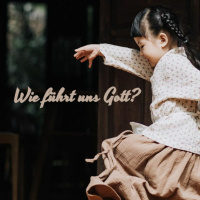 Wie führt uns Gott? (P. George Elsbett LC)