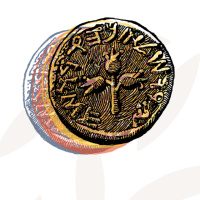 Die ständige Unzufriedenheit. (Zentrum JP2)