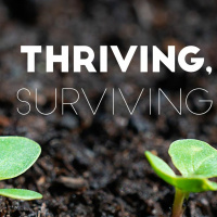 Thriving not Surviving (2)- Kultur des Betens
