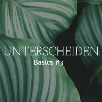 Unterscheiden - Basics #3 (P. George Elsbett LC)
