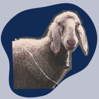 Warum du als Christ keine Angst haben musst (Zentrum JP2)