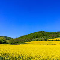 El Dios De Maravillas