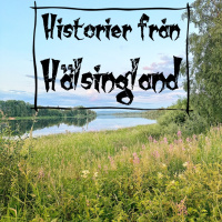 Helsingminnen 9 - Berättelser och sägner, krigsbragder och äventyr, historiska skildringar och kulturbilder