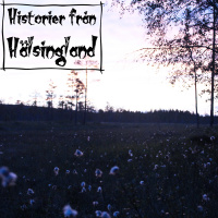 Huset vid Kvaråsvägen