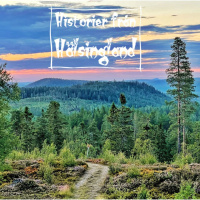 När skogsfinnarna kom