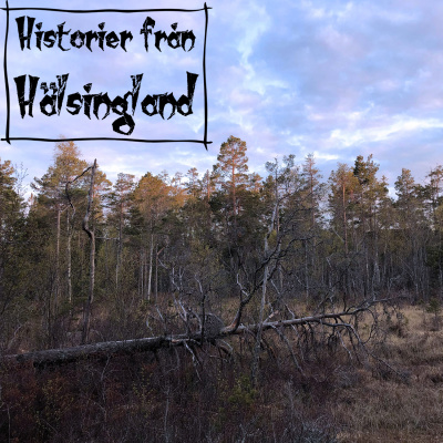 Historier Från Hälsingland