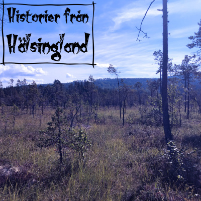 Historier Från Hälsingland