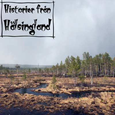 Historier Från Hälsingland