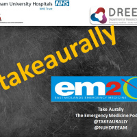 Take Aurally Special - EM2C Abstract Committee