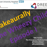 The Wheezy Child Episode I: Bronchiolitis