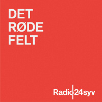 Hvad kalder man et land, hvor ministre kan bryde loven uden at det får...