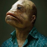 Ya vienen los Reyes Magos, caranchoas.