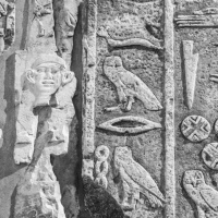 Yayın #008: Self Betik