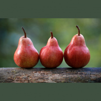 129 Dieser suesse Geheimtipp sorgt garantiert für gute Laune