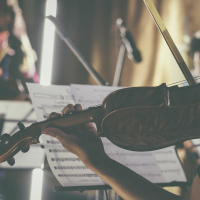 Capítulo 30 Las aventuras de un violin