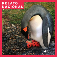 03. Una adopción singular