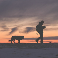 Capítulo 33 El calor de la manada