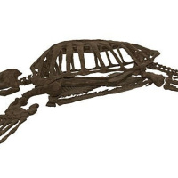 Thursday, April 18: Peabody Museum Concert Updates Spelling ErrorzZz