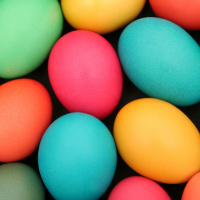 Monday, March 25: Stunt Or Stupid - Easter Egg Roulette Basketball Weekend Recap Scot Haneys Vacation Stories