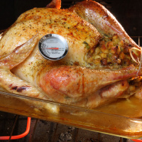 Pod Pick: Turkey Tips For First Timers