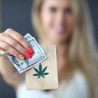 Pod Pick: Why Cannabis Sales In Connecticut Went Down