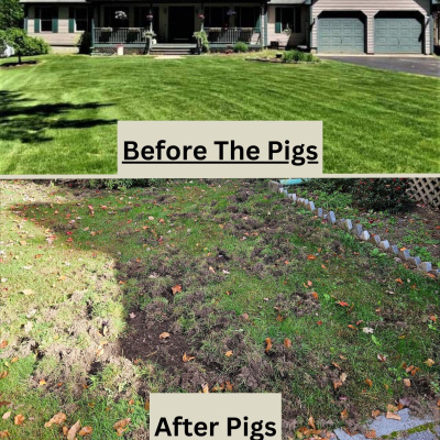 Chaz  Aj In The Morning