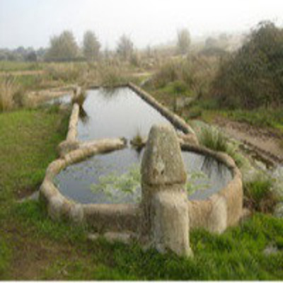 Las Moradas O Castillo Interior, De Santa Teresa