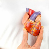 Cardiopatias hereditárias e anomalias genéticas