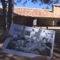 Reportajes Emisoras - Cuenca - Torner forestal - 24/10/25