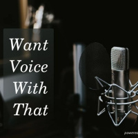 Want Voice With That by Agile Audio Dashboards (Pilot Episode)