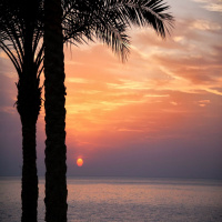 Wrestling With Living a Life of Gratitude