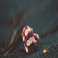 What Does It Mean To Follow Your Heart - Part 2