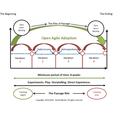 In Action With Wendy