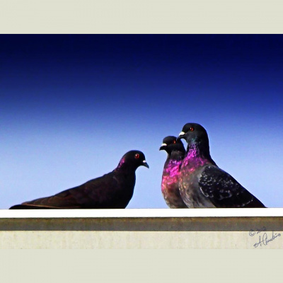 In Action With Wendy