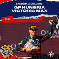 F1 Bandera a Cuadros 7x12 - GP Hungria El jarrongate, estrategias y carcasas