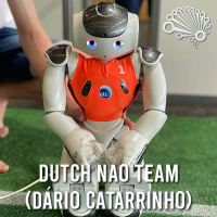 734: Humanoid Robot Soccer, with the Dutch RoboCup Team