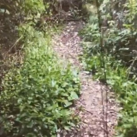 Fran Riveras THE HUNTER - Capítulo XXI