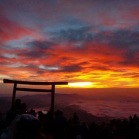 Fran Riveras THE HUNTER - Capítulo XXIV