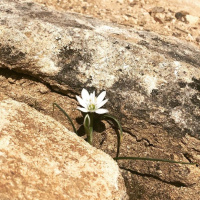 Fran Riveras THE HUNTER - Capítulo XIV Parte II