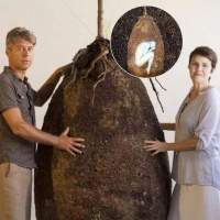 231 - Show and tell Kinder Sorpresa