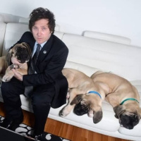 229 - Show and tell Olor a perro