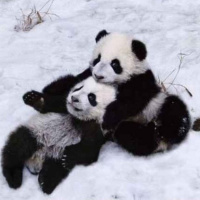 100. Especial Episodio 100